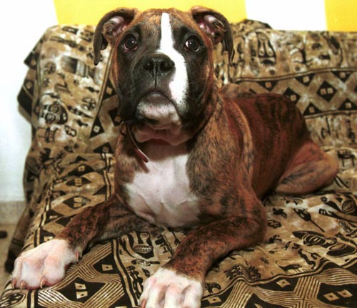 �����. ��� ��, ������ ��� �� ��� ���