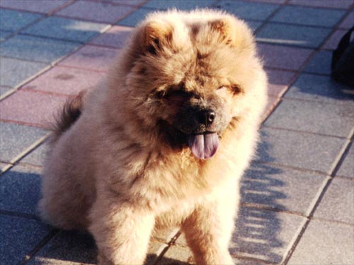 �'�� �'��. Kelly