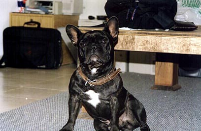 ������ �����. �'��� �� 3