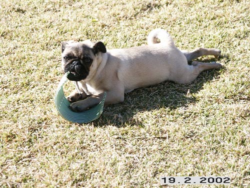 ���. ���� ���� ������