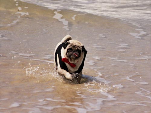 ���. ��� ����� ����, ��� �� 6 ����� ���� ��� ����� ������