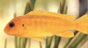 �'����. ����