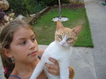 ��� ������