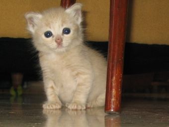 ��� ������