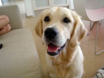 ��� ������