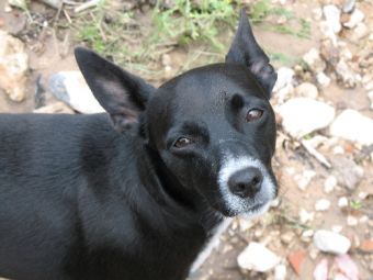 ��� ������