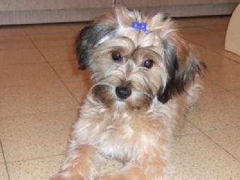 ��� ������