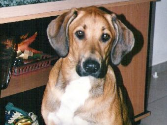 ��� ������