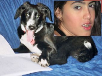 ��� ������