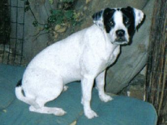 ��� ������