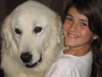 ��� ������