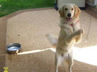 ��� ������