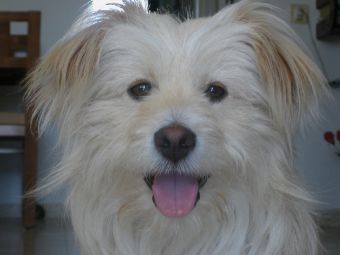 ��� ������